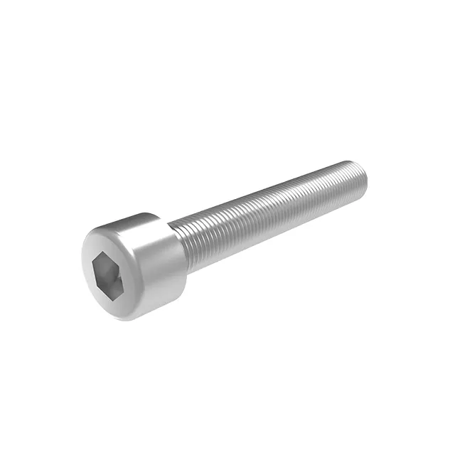 CS1 Hexagon socket screw